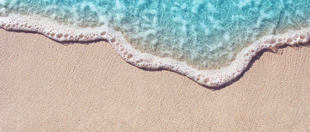 Moroccanoil x Oceana