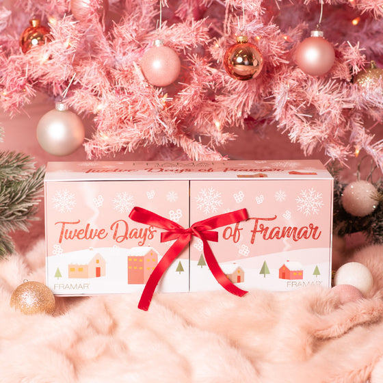 FRAMAR 12 Days of Framar - Advent Calendar