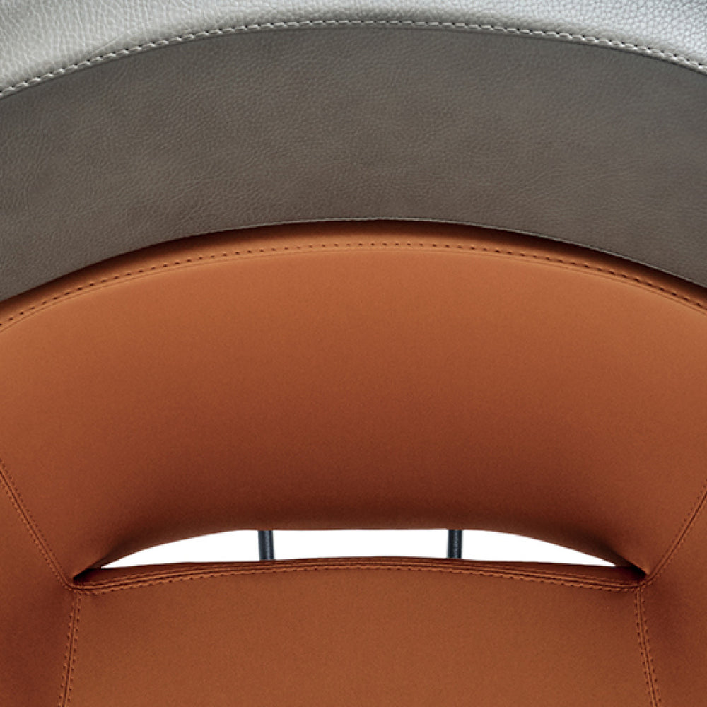 
                      
                        MALETTI - kampaamotuoli, Eco Fun Bi-Color (Top)
                      
                    