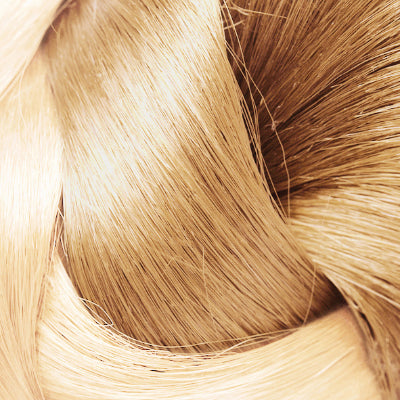
                      
                        BLONG TapeHair #613/25
                      
                    