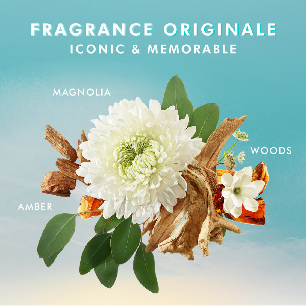 
                      
                        MOROCCANOIL Brumes du Maroc 30 ml
                      
                    