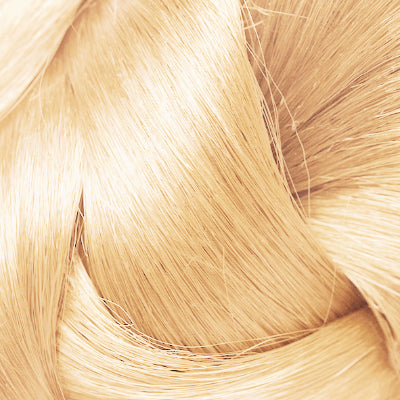 
                      
                        BLONG SwiftHair 45 cm #24
                      
                    