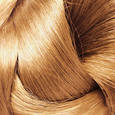 
                      
                        BLONG TapeHair #27
                      
                    
