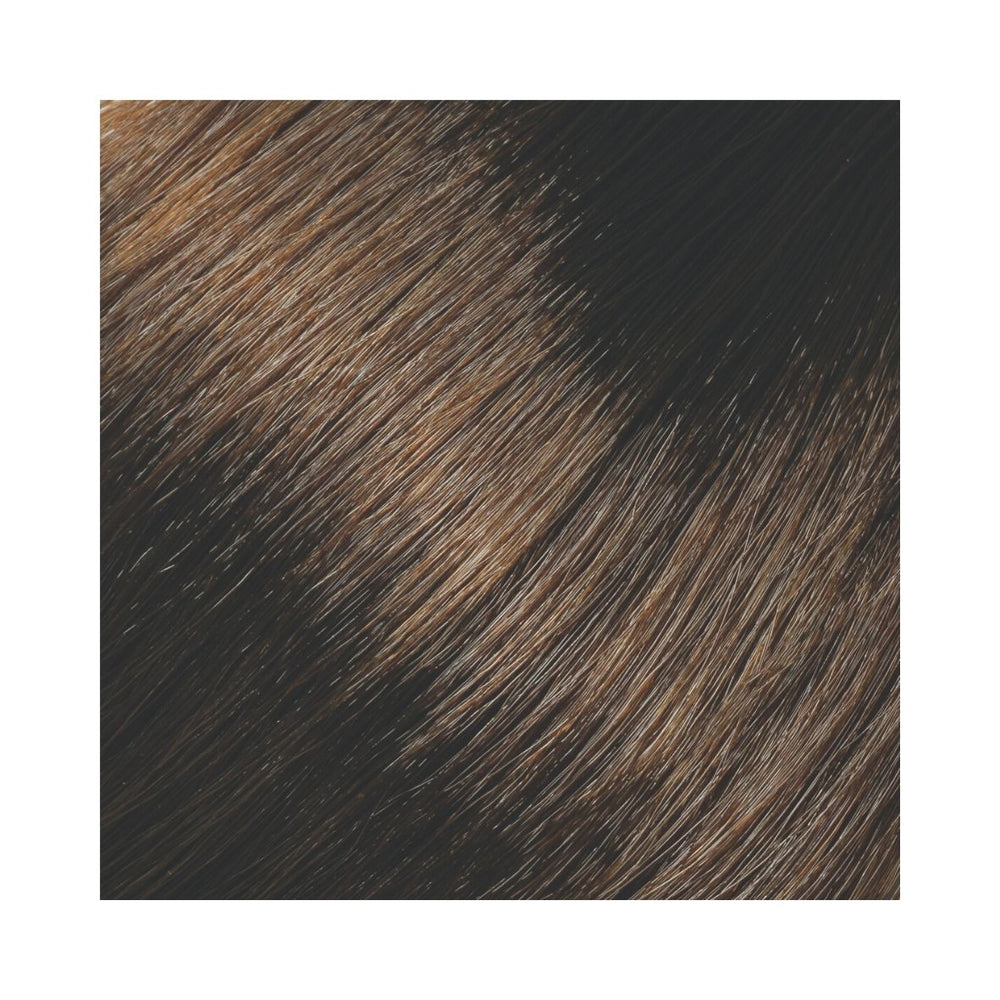 
                      
                        LANZA Healing Haircolor 90 ml kevyt & kestoväri
                      
                    