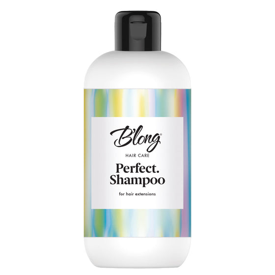 BLONG HAIR CARE Perfect. Shampoo 300 ml