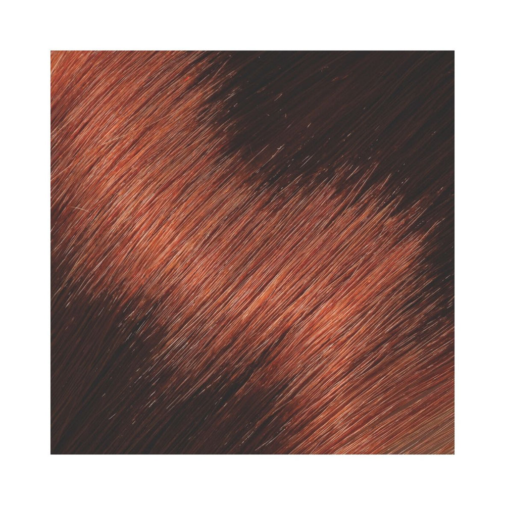 
                      
                        LANZA Healing Haircolor 90 ml kevyt & kestoväri
                      
                    
